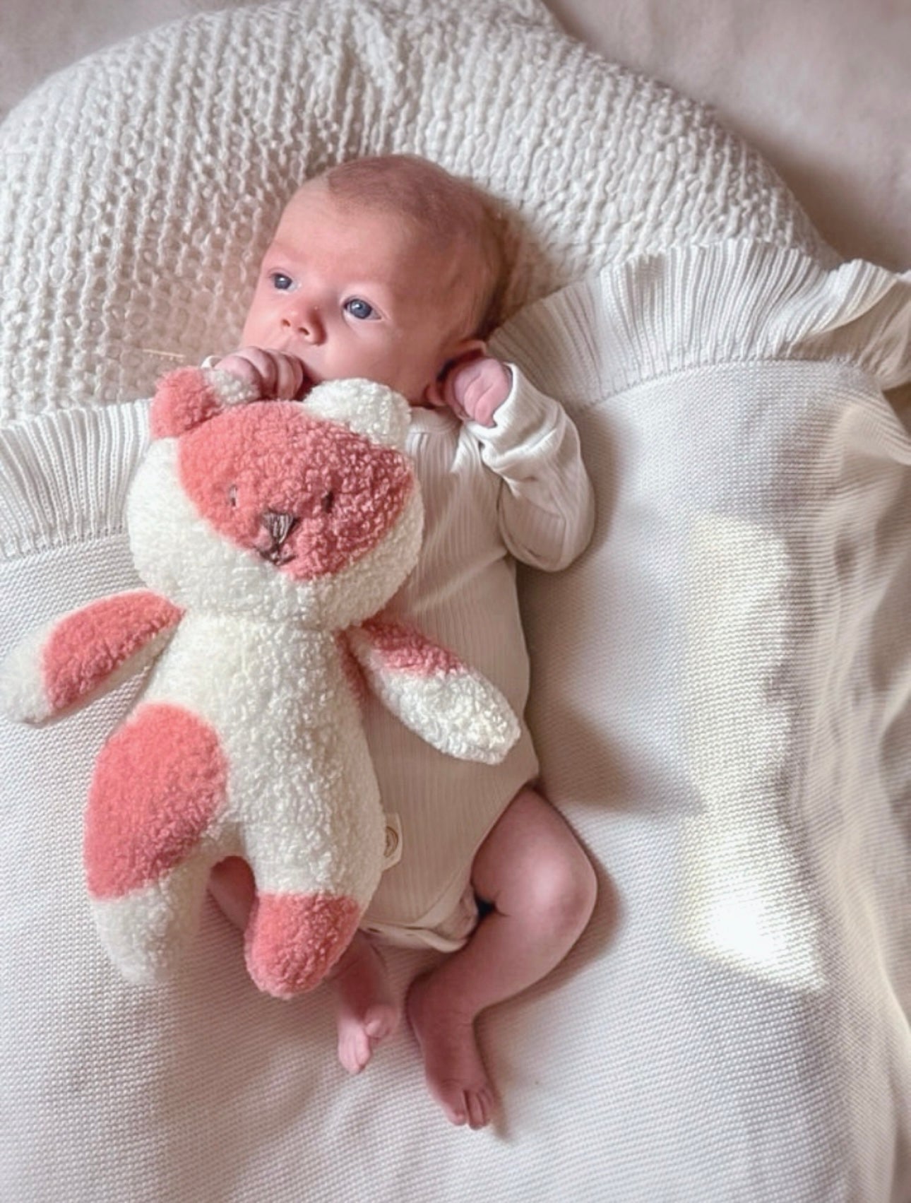 Boucle' cuddle bear