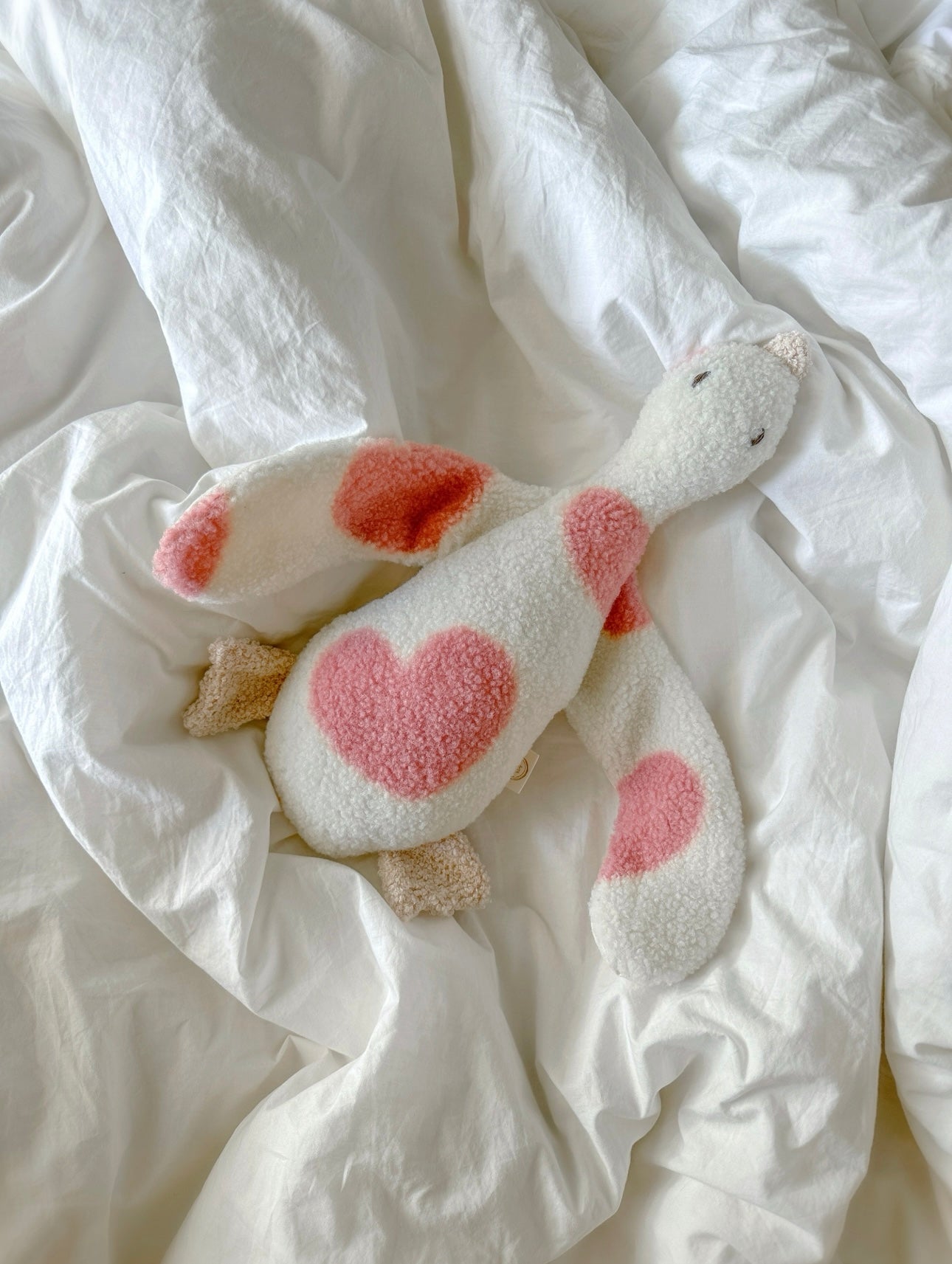Boucle' cuddle duck