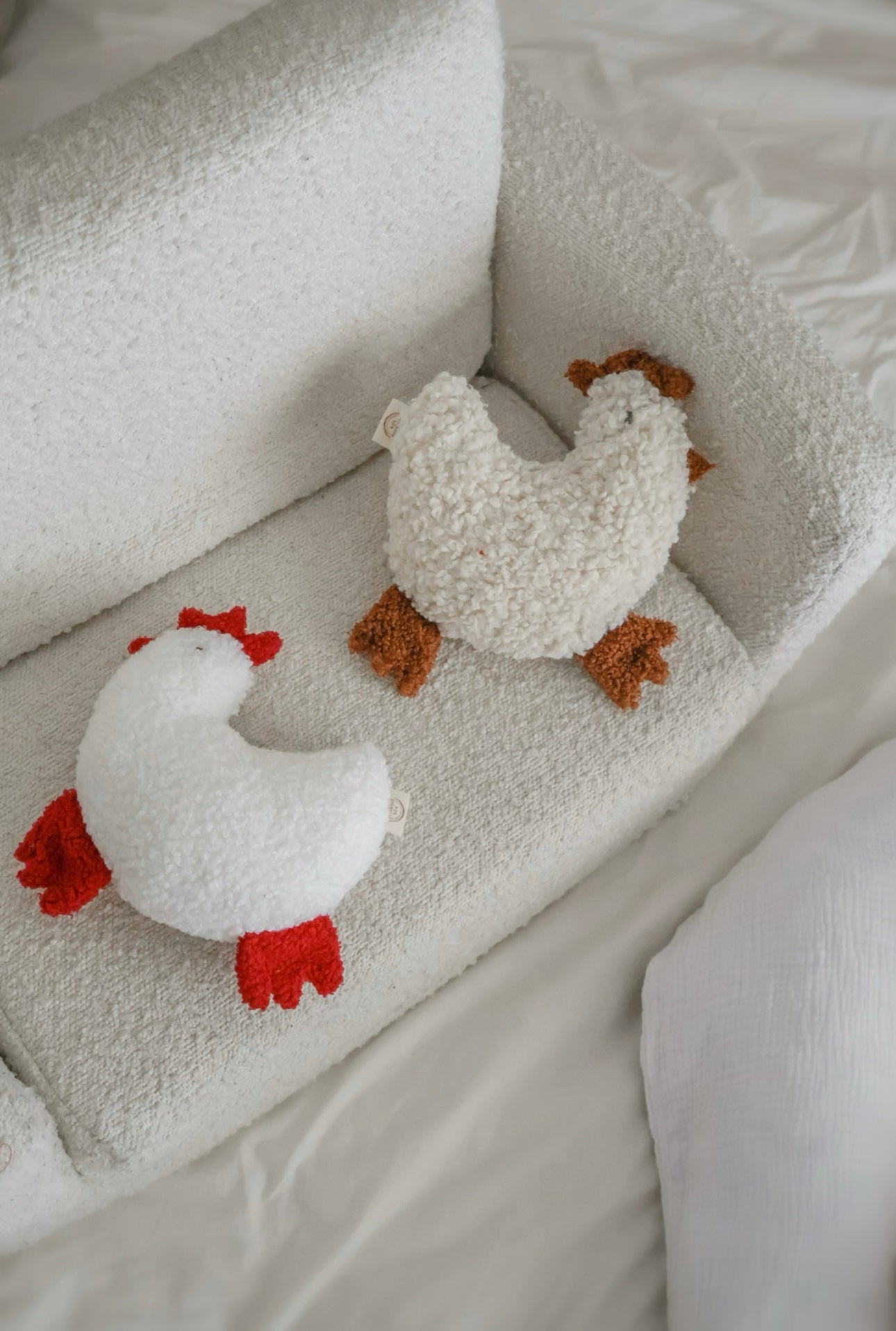 Boucle' cuddle chickens
