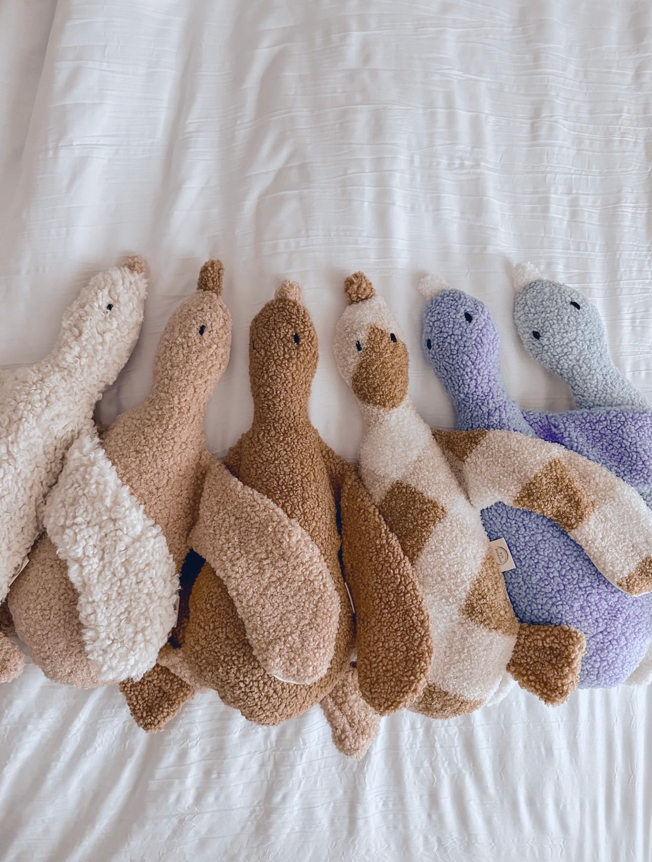 Boucle' cuddle duck
