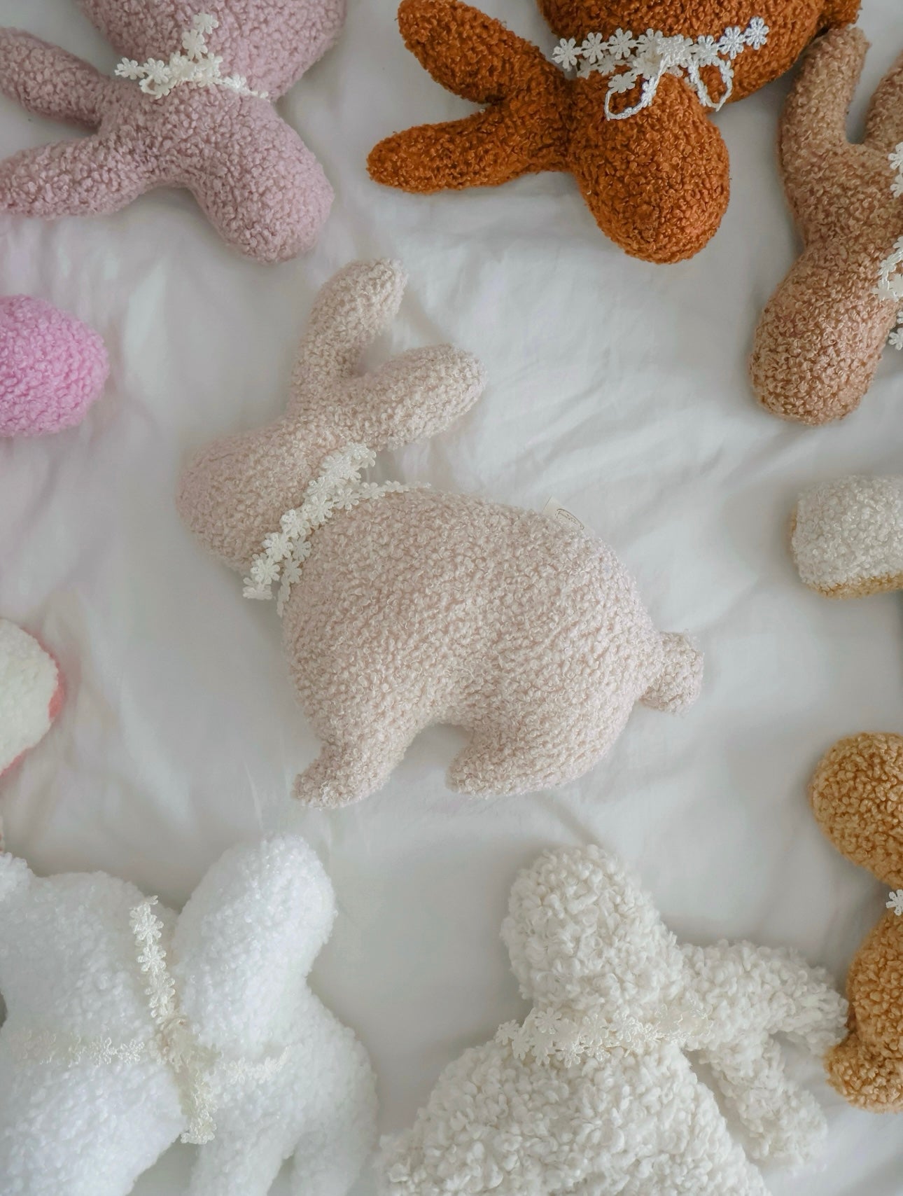 Boucle' cuddle bunny