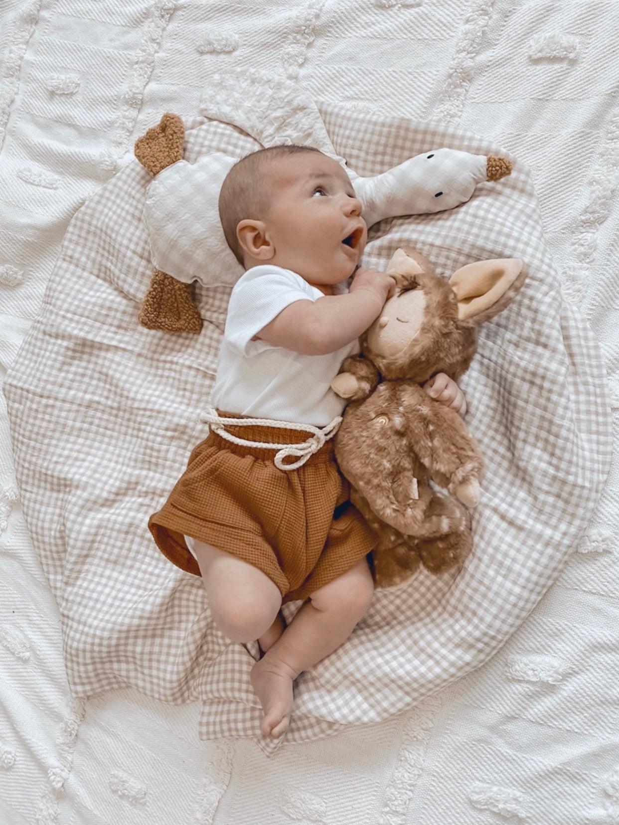 Gingham cuddle duck
