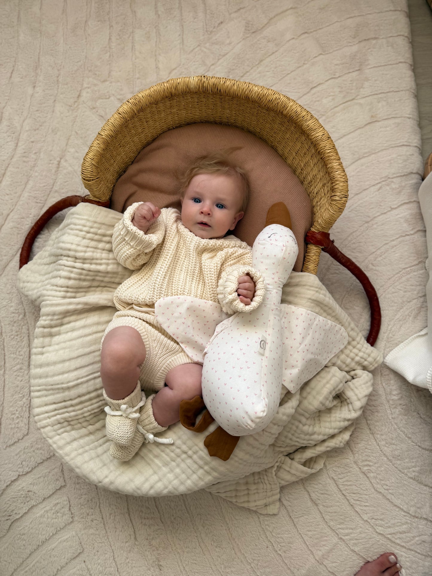 Garden Whispers Collections